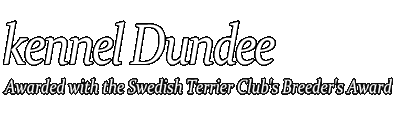 Kennel Dundee